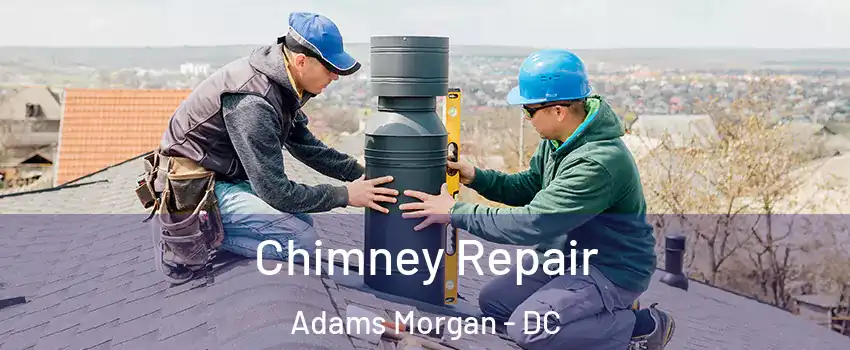 Chimney Repair Adams Morgan - DC