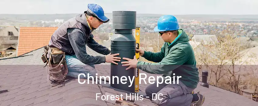 Chimney Repair Forest Hills - DC