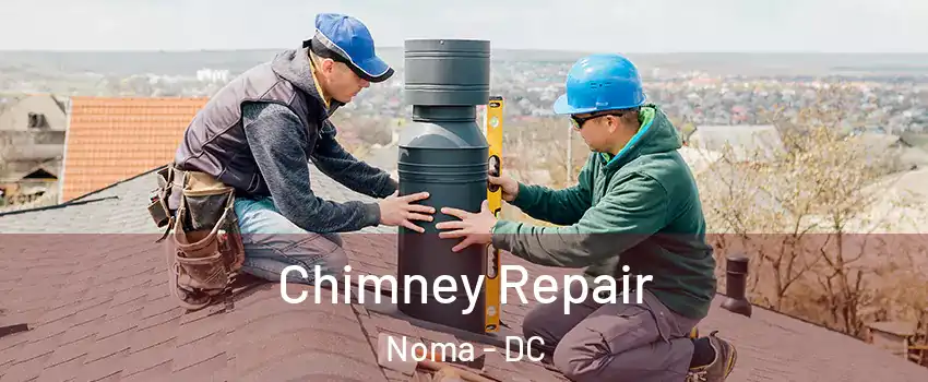 Chimney Repair Noma - DC