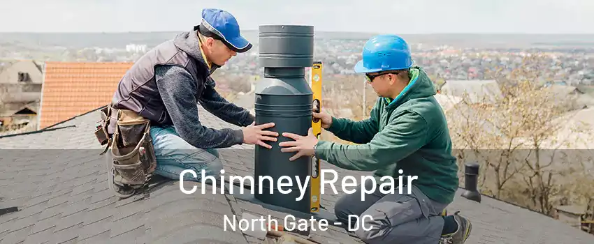 Chimney Repair North Gate - DC