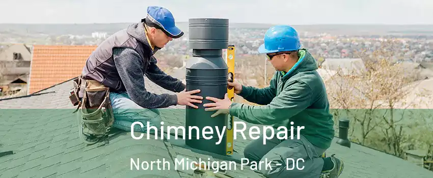 Chimney Repair North Michigan Park - DC