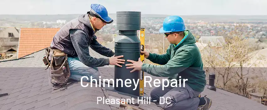 Chimney Repair Pleasant Hill - DC