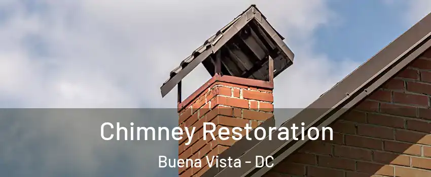 Chimney Restoration Buena Vista - DC