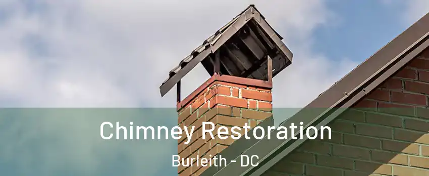 Chimney Restoration Burleith - DC