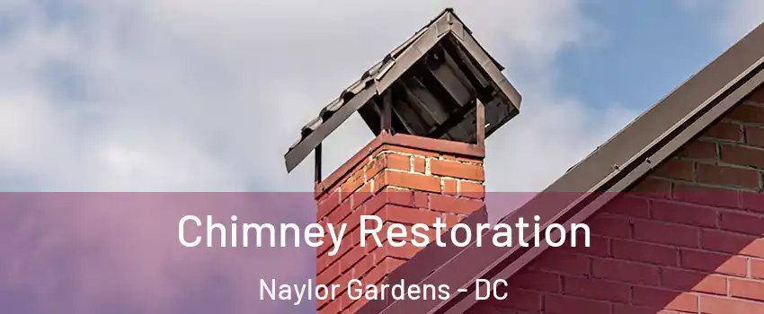 Chimney Restoration Naylor Gardens - DC