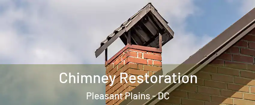 Chimney Restoration Pleasant Plains - DC