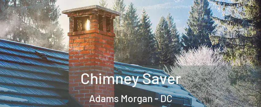 Chimney Saver Adams Morgan - DC