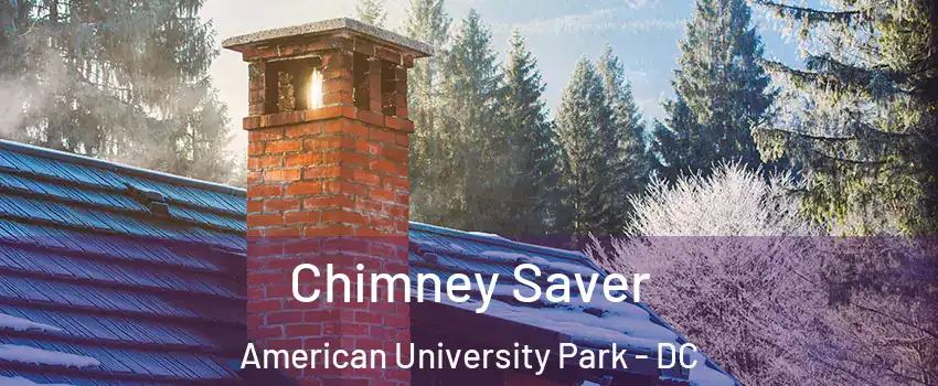 Chimney Saver American University Park - DC