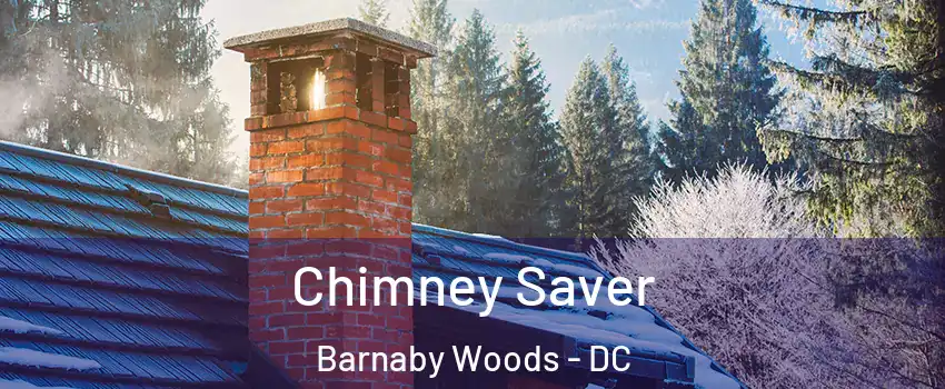 Chimney Saver Barnaby Woods - DC