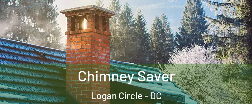 Chimney Saver Logan Circle - DC