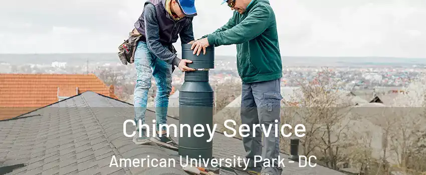 Chimney Service American University Park - DC