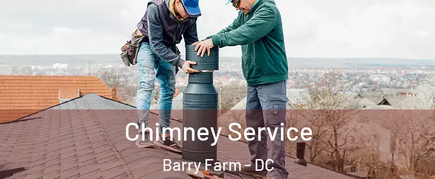 Chimney Service Barry Farm - DC