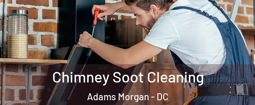 Chimney Soot Cleaning Adams Morgan - DC