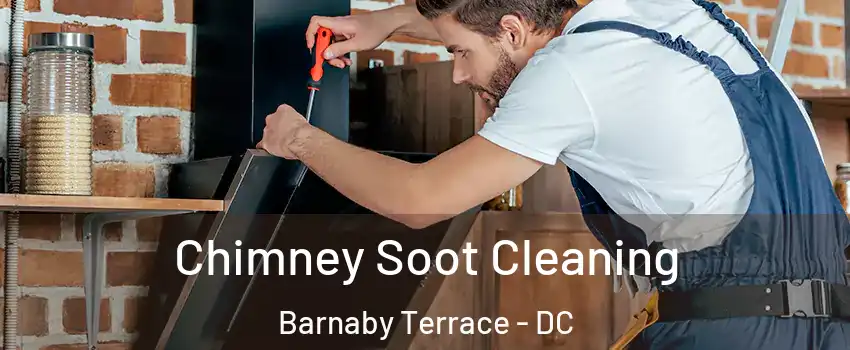 Chimney Soot Cleaning Barnaby Terrace - DC