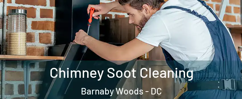 Chimney Soot Cleaning Barnaby Woods - DC