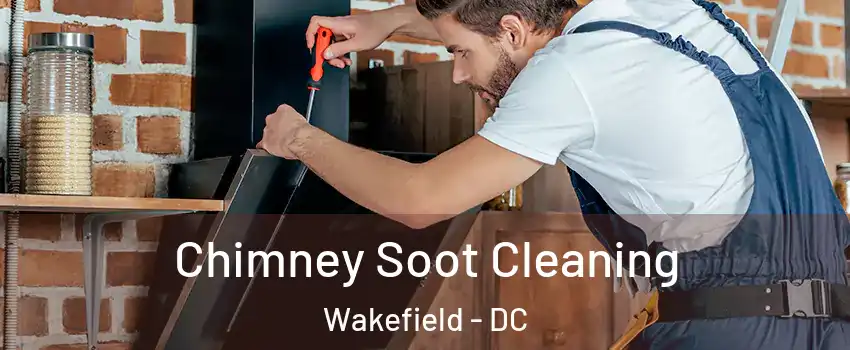 Chimney Soot Cleaning Wakefield - DC