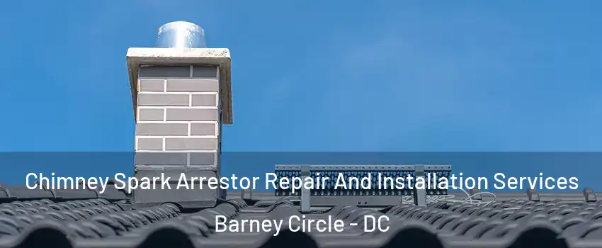 Chimney Spark Arrestor Repair And Installation Services Barney Circle - DC