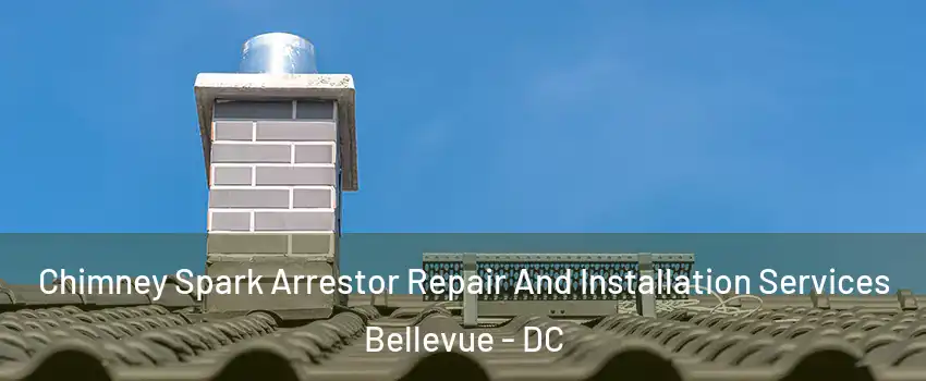 Chimney Spark Arrestor Repair And Installation Services Bellevue - DC