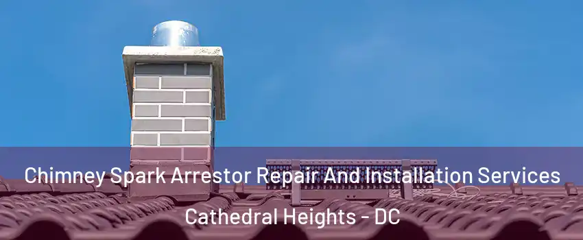 Chimney Spark Arrestor Repair And Installation Services Cathedral Heights - DC