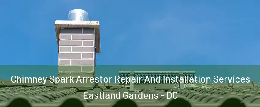 Chimney Spark Arrestor Repair And Installation Services Eastland Gardens - DC