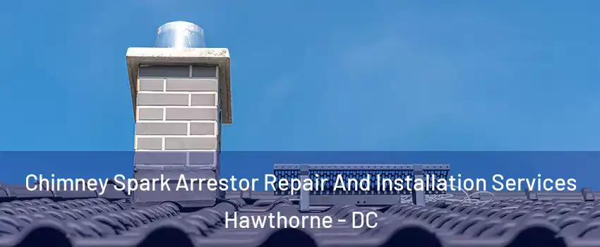 Chimney Spark Arrestor Repair And Installation Services Hawthorne - DC