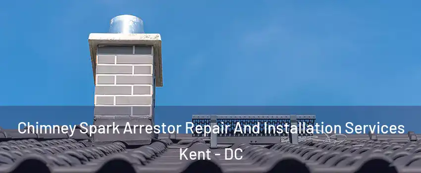 Chimney Spark Arrestor Repair And Installation Services Kent - DC