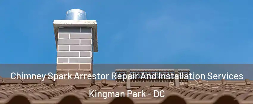 Chimney Spark Arrestor Repair And Installation Services Kingman Park - DC