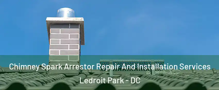 Chimney Spark Arrestor Repair And Installation Services Ledroit Park - DC