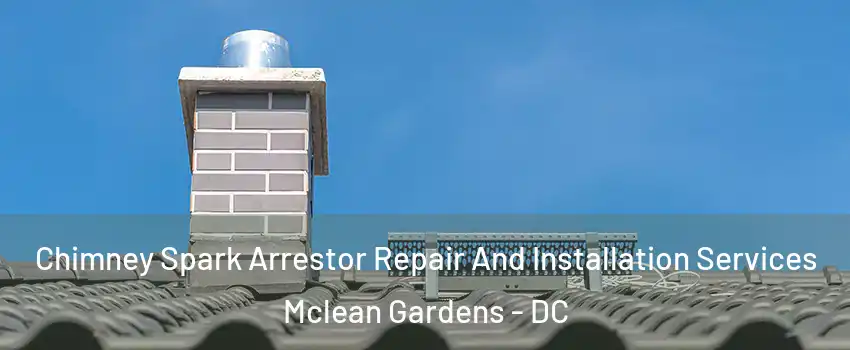 Chimney Spark Arrestor Repair And Installation Services Mclean Gardens - DC