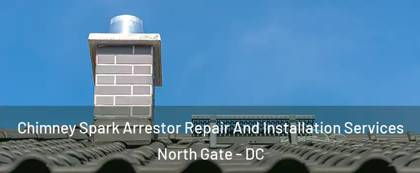 Chimney Spark Arrestor Repair And Installation Services North Gate - DC