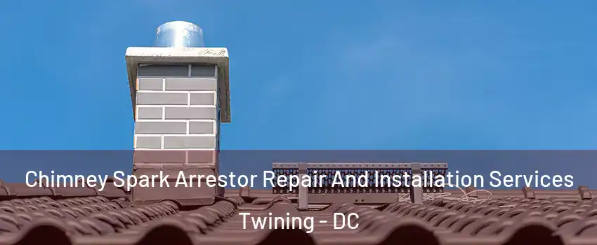 Chimney Spark Arrestor Repair And Installation Services Twining - DC