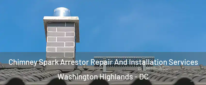 Chimney Spark Arrestor Repair And Installation Services Washington Highlands - DC