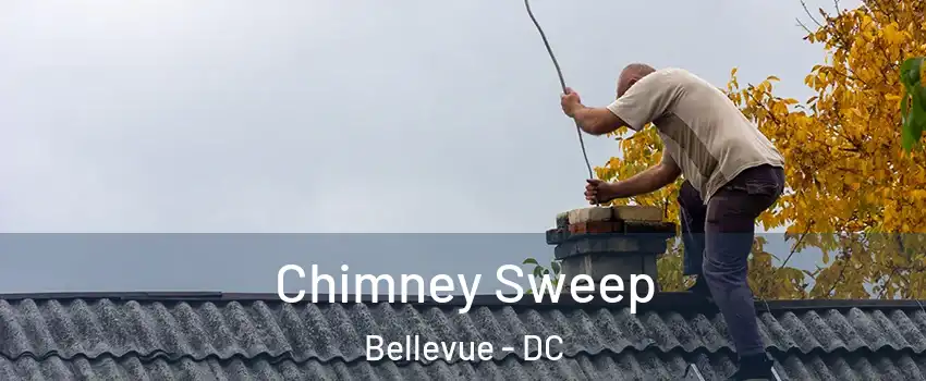 Chimney Sweep Bellevue - DC