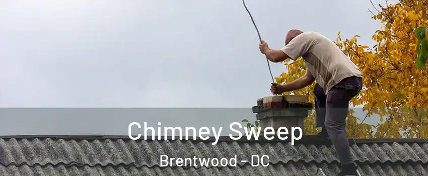 Chimney Sweep Brentwood - DC