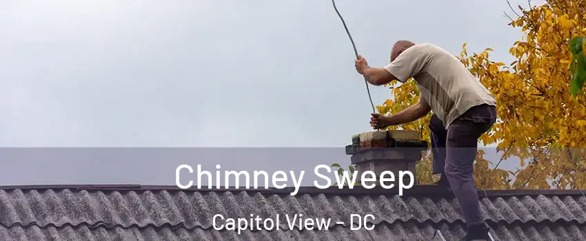 Chimney Sweep Capitol View - DC