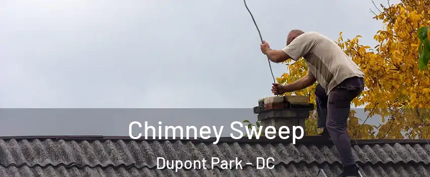 Chimney Sweep Dupont Park - DC