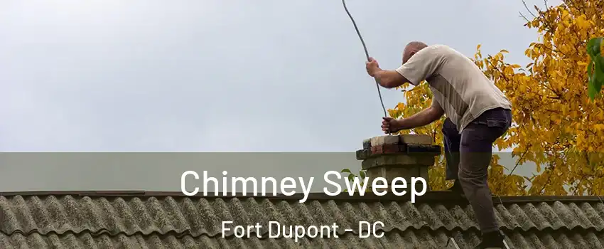 Chimney Sweep Fort Dupont - DC