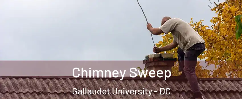 Chimney Sweep Gallaudet University - DC