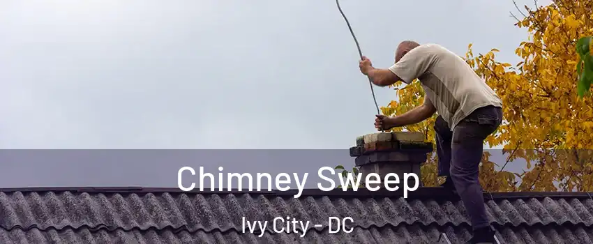 Chimney Sweep Ivy City - DC