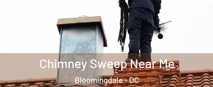 Chimney Sweep Near Me Bloomingdale - DC