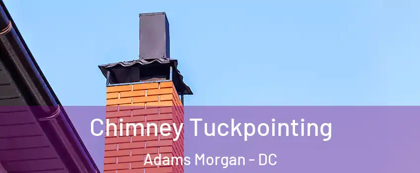 Chimney Tuckpointing Adams Morgan - DC