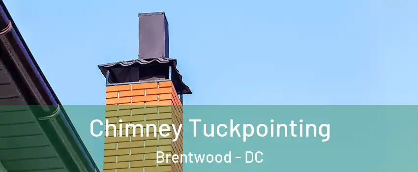 Chimney Tuckpointing Brentwood - DC