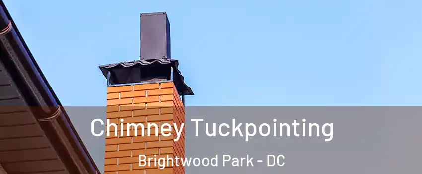 Chimney Tuckpointing Brightwood Park - DC