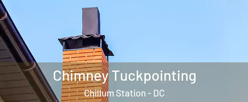 Chimney Tuckpointing Chillum Station - DC