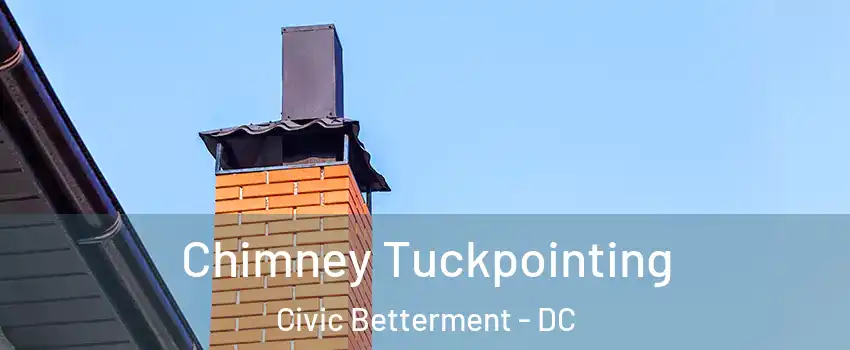 Chimney Tuckpointing Civic Betterment - DC