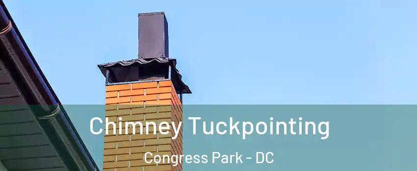 Chimney Tuckpointing Congress Park - DC