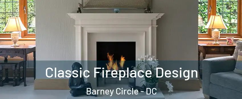 Classic Fireplace Design Barney Circle - DC