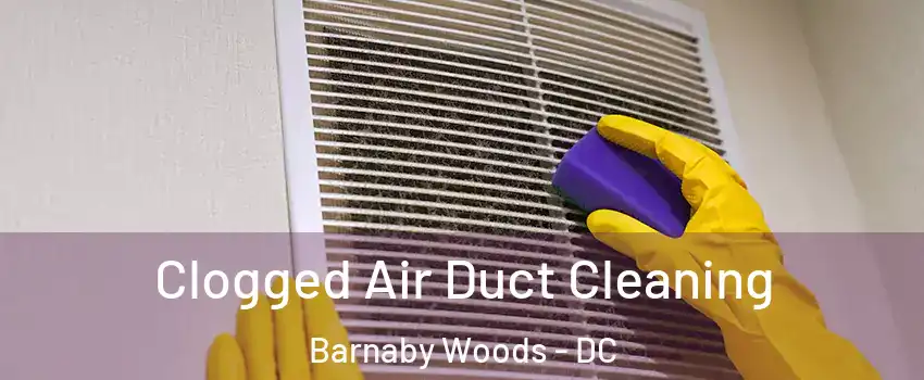 Clogged Air Duct Cleaning Barnaby Woods - DC