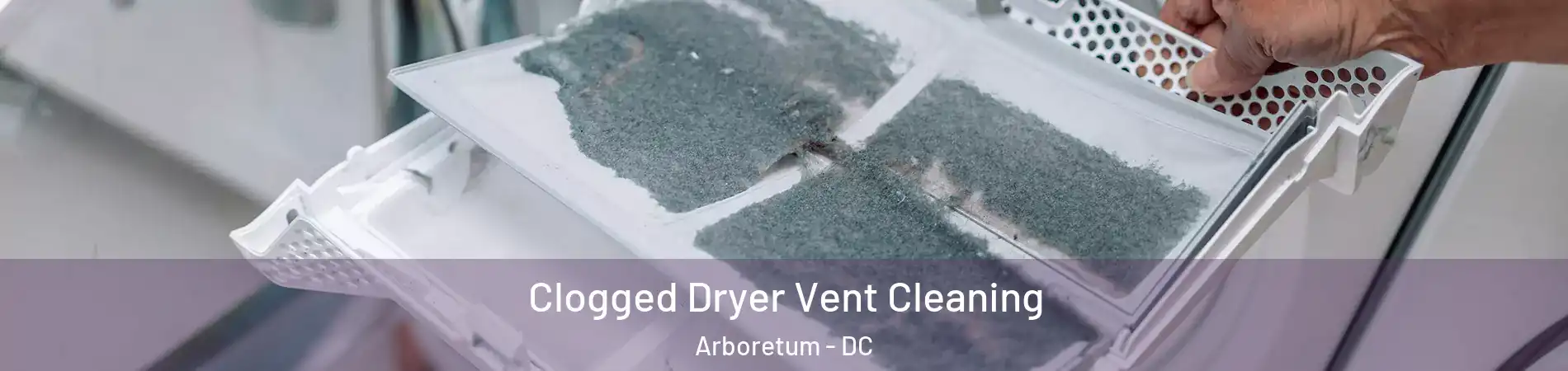 Clogged Dryer Vent Cleaning Arboretum - DC