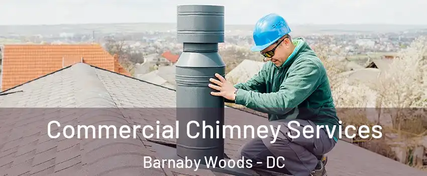 Commercial Chimney Services Barnaby Woods - DC